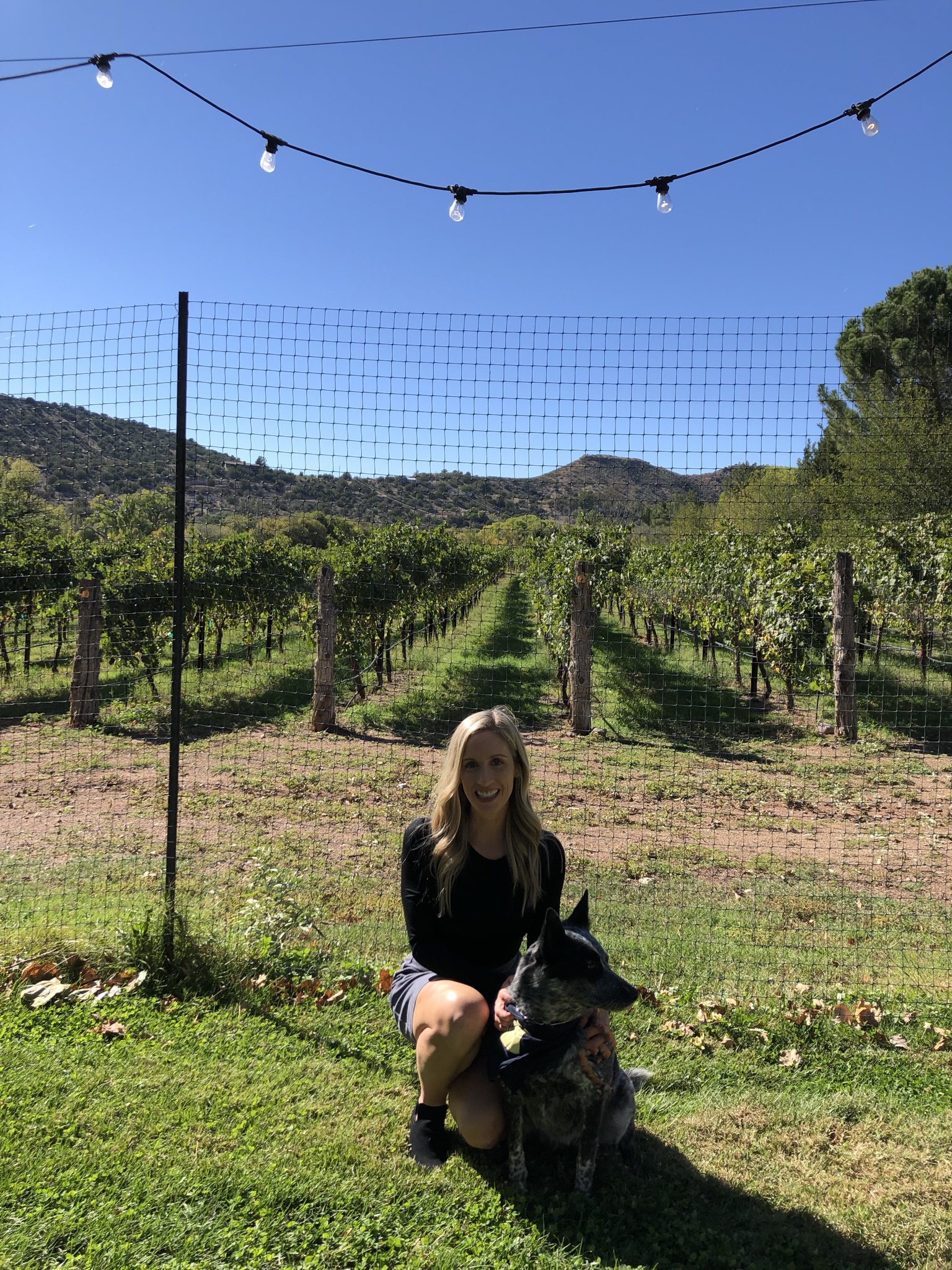 Verde Valley Wine Trail